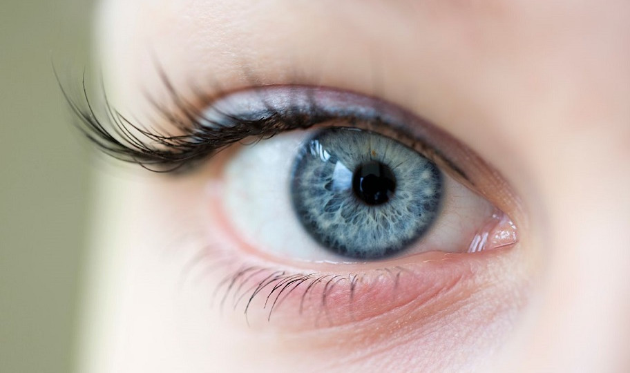 Осмотр в условиях медицинского мидриаза Осмотр в условиях медицинского мидриаза